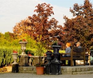 Sonniger Nachmittag im Herbst