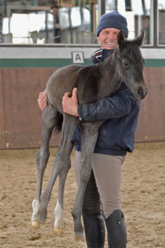 Foal2.jpg Foal2.jpg